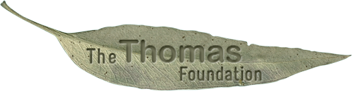 The Thomas Foundation